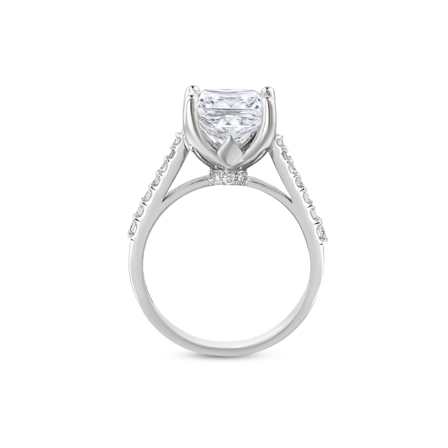 Princess Cut Engagement Ring